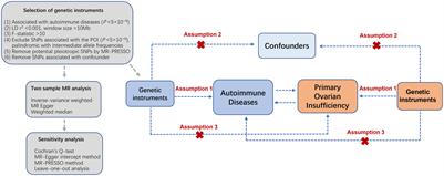 Primary ovarian insufficiency consequence of autoimmune diseases: a bidirectional two-sample Mendelian randomization study